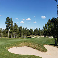 Torreon Golf Course and tall Ponderosa Pine Trees