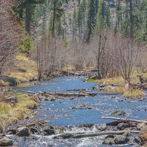 Real Estate Agency in Northern Arizona | Josh Meacham - West USA Realty