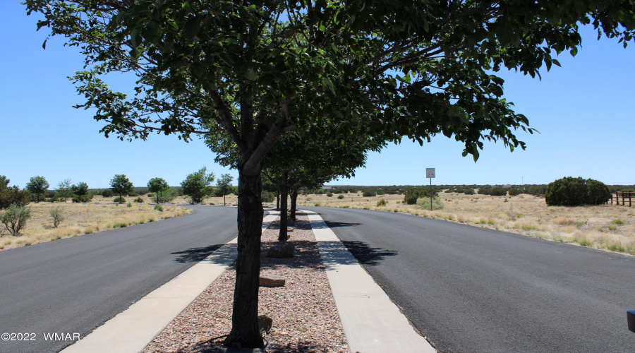Tree Lined Entry to Canyon Vista Estates