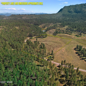 1AForestRoad26-Alpine-Arizona-1