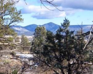 10 Acres Prcl 5 View thru Trees