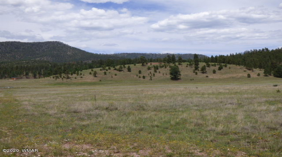 The Ranch at Alpine (20)
