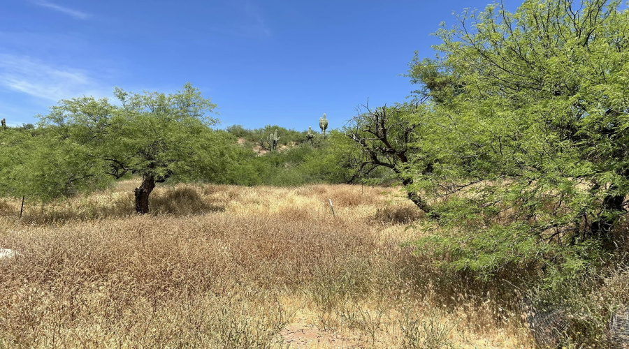 Rodeo in Tonto Basin land 1.37 acre