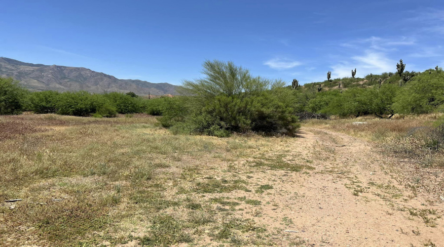 vacant land in Tonto Basin on Rodeo