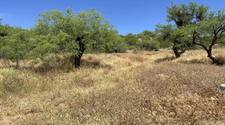 vacant land on Rodeo in Tonto Basin AZ