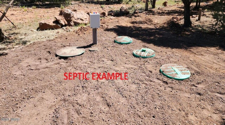Septic Covers 2 Example