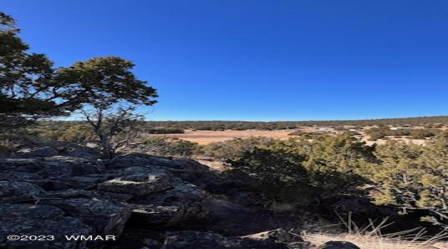 Concho property