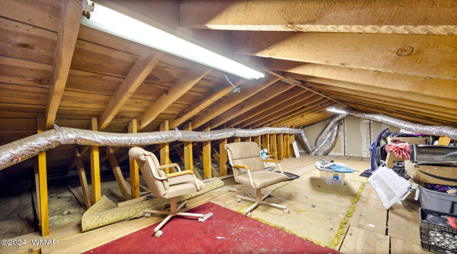 Attic/Storage above garage