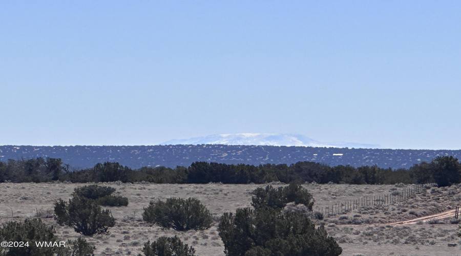 On the Horizon Escudilla Mountain