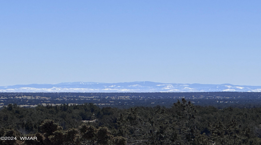 The White Mountains to the South