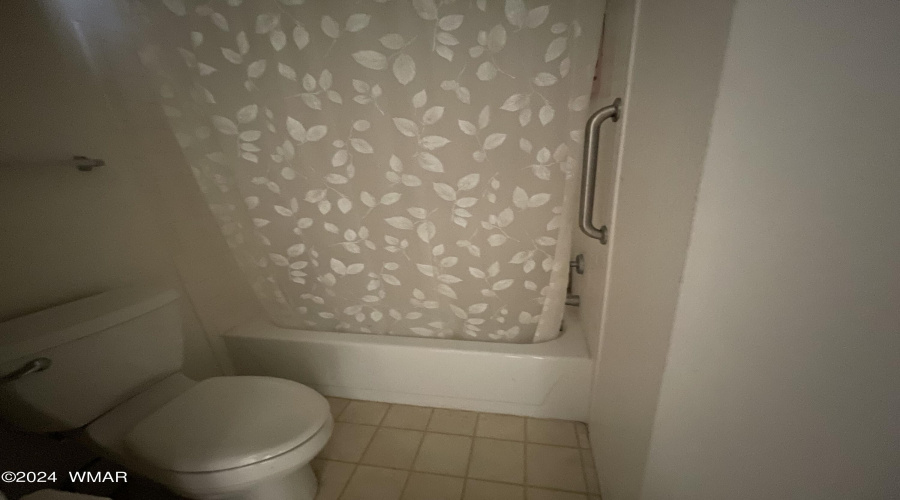 Primary Bathroom_Shower Tub Combo