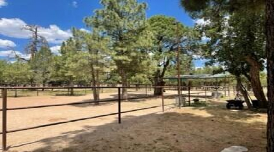 horse corrals 2nd set with lean toos