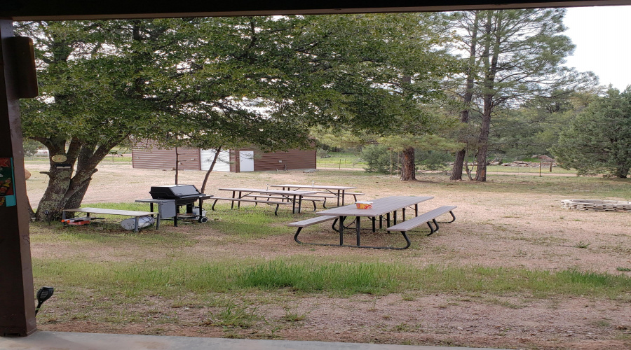 Yard from Front Porch