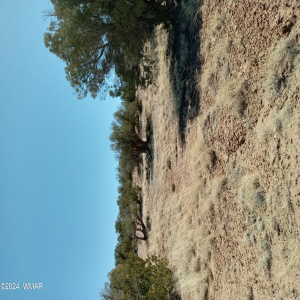 Vacant land for sale in Snowflake AZ