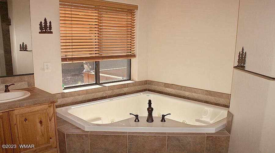 Jacuzzi Tub in Master
