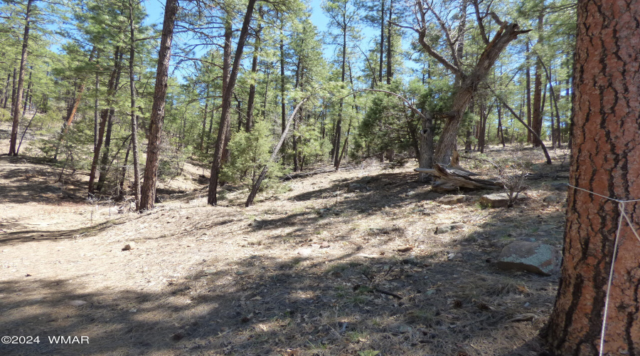 2451 S Hidden Ridge Trail (50)