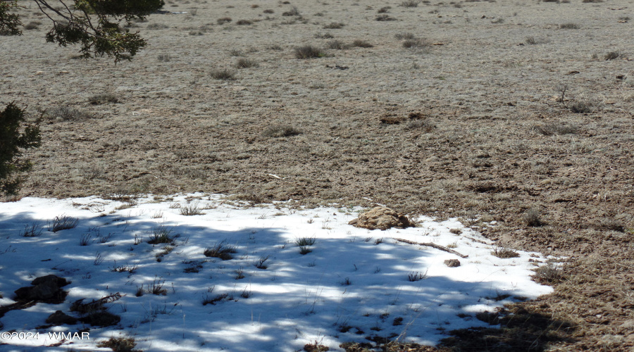 snow in the shade