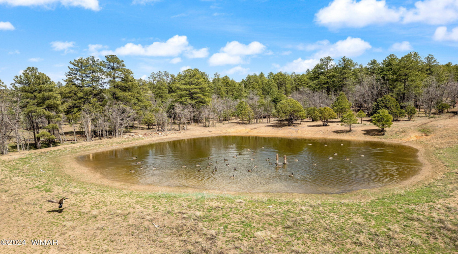 931WWoodlandLakeRd-Pinetop-AZ-7