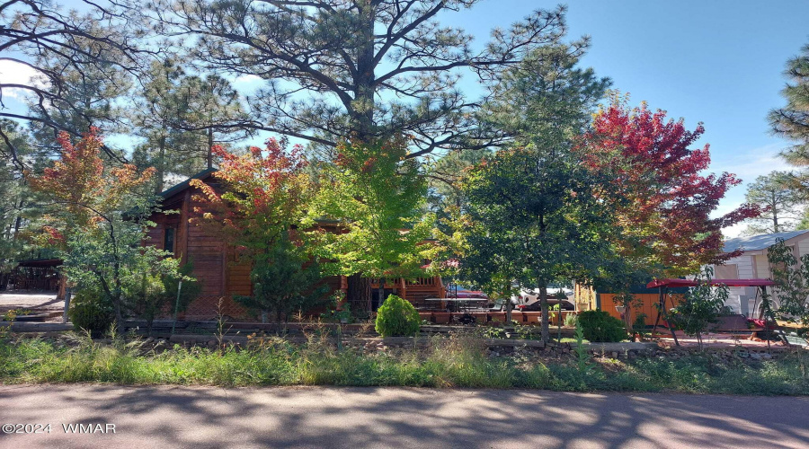 Cabin Fall Trees 3