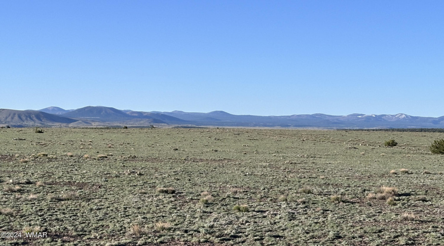 View towards the White Mountains