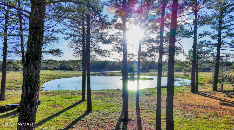 Torreon Lakes