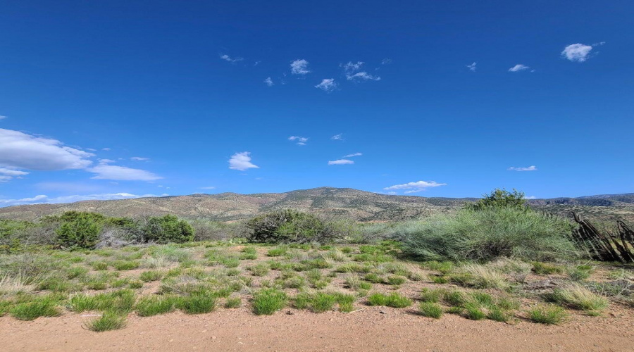 Tonto National Forest across the street