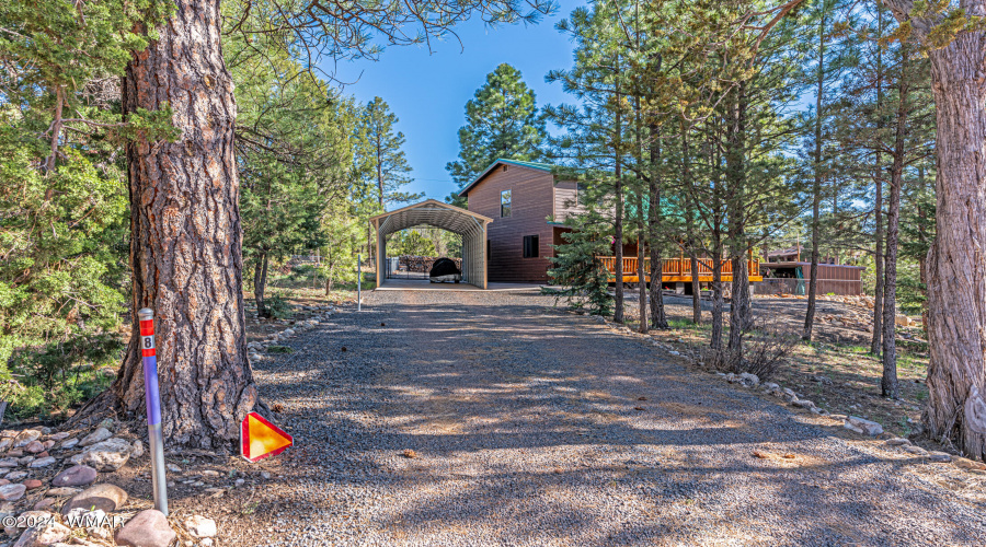 1991 Twin Pines