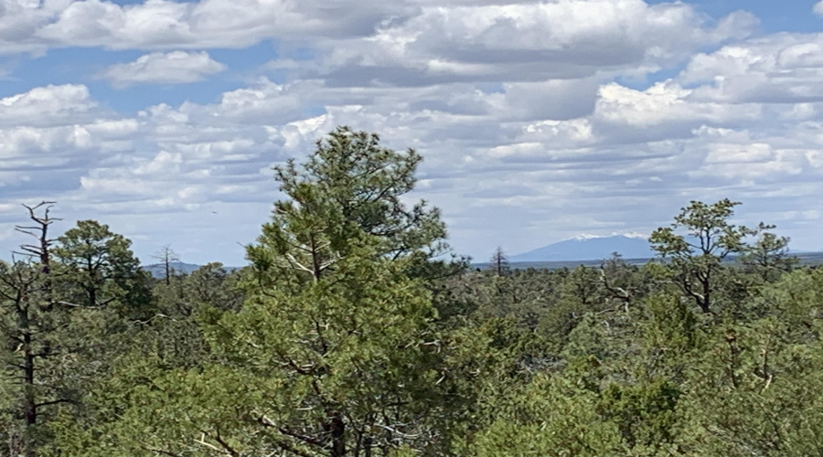 View of the Mountains