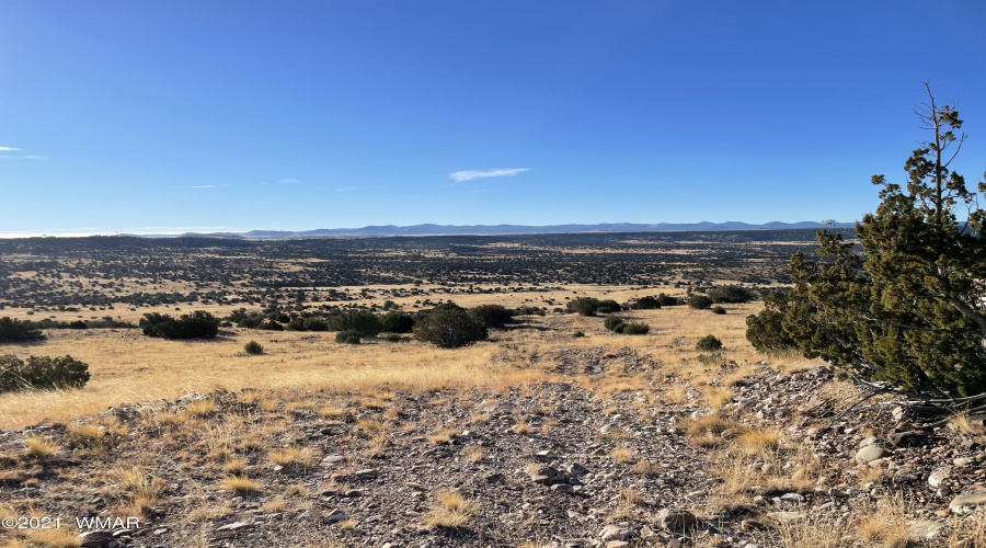 N8473 roadway towards the south