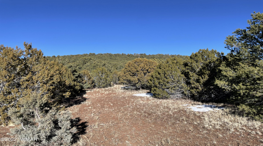 View towards knoll hill to the north