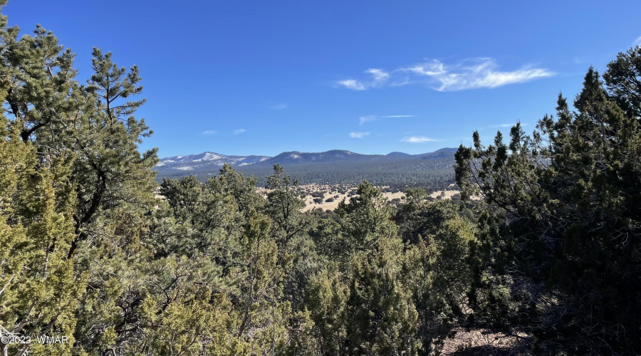 White Mountains in distance