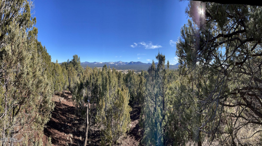 Panoramic towards the White Mountains