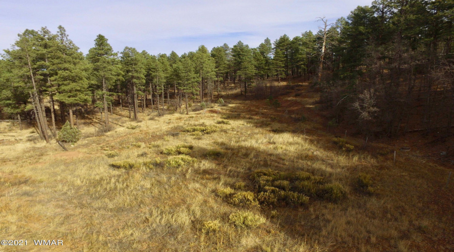 Elevated view looking east