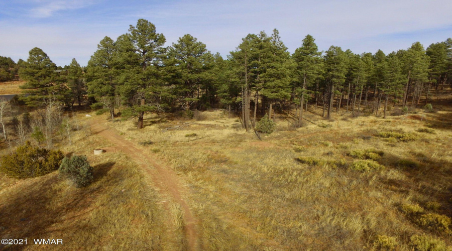 Meadow aerial northeast