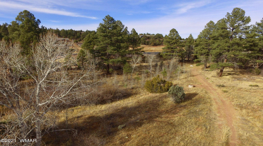 Meadow aerial south