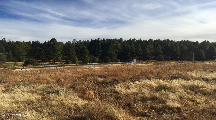 View of property from Bison Ridge