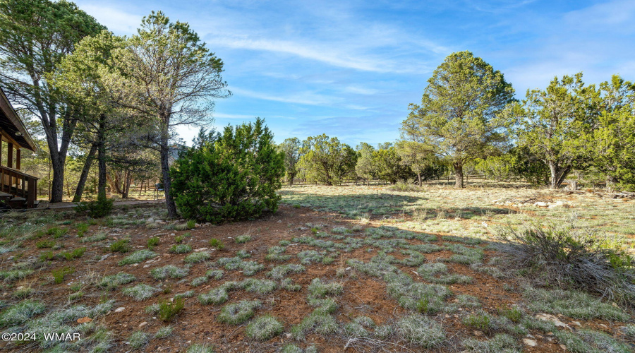 2969LookoutLn-Heber-AZ-27