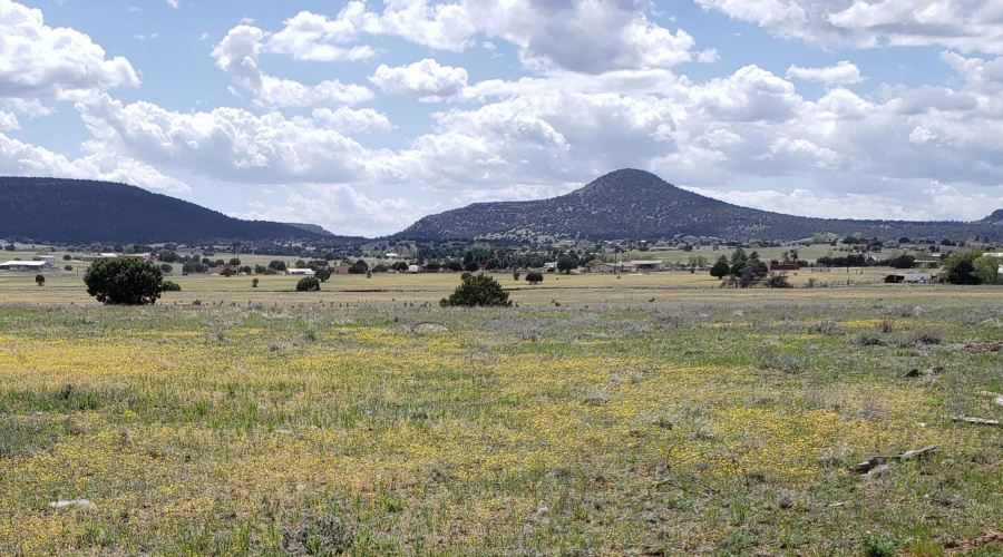 Baker Ranch Rd Knoll View to SW