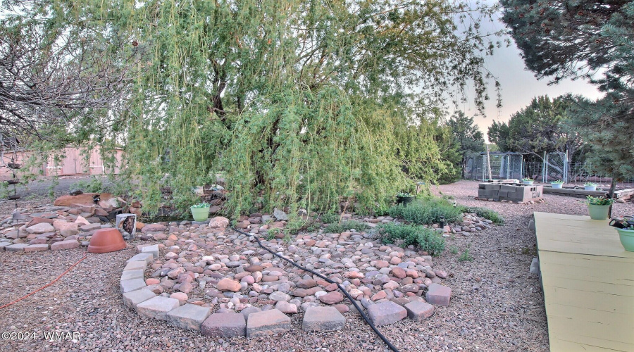 Pond area with fish