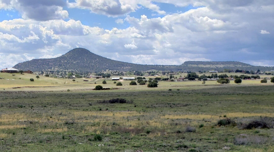 Hwy 288 14 Acres Looking West