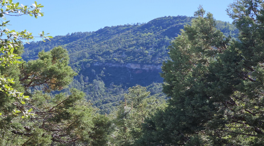 MTN. VIEW FROM DECK