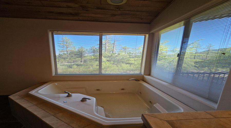 JETTED TUB & VIEWS IN MASTER BATH