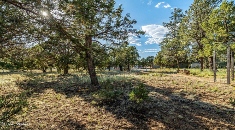 3000AspenRd-Heber-AZ-24