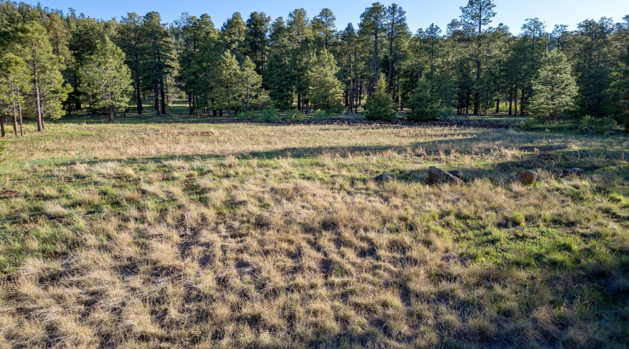 Lot14-HMR-Greer-AZ-16