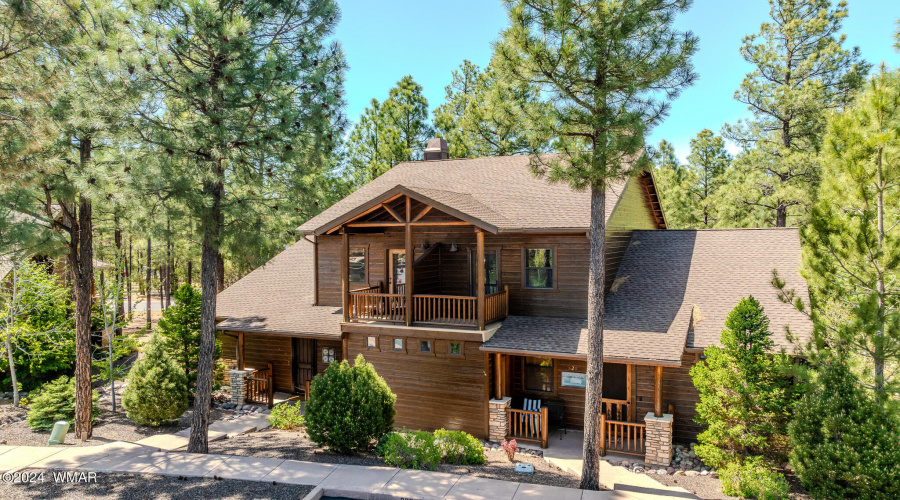 Pine Trees Around Property