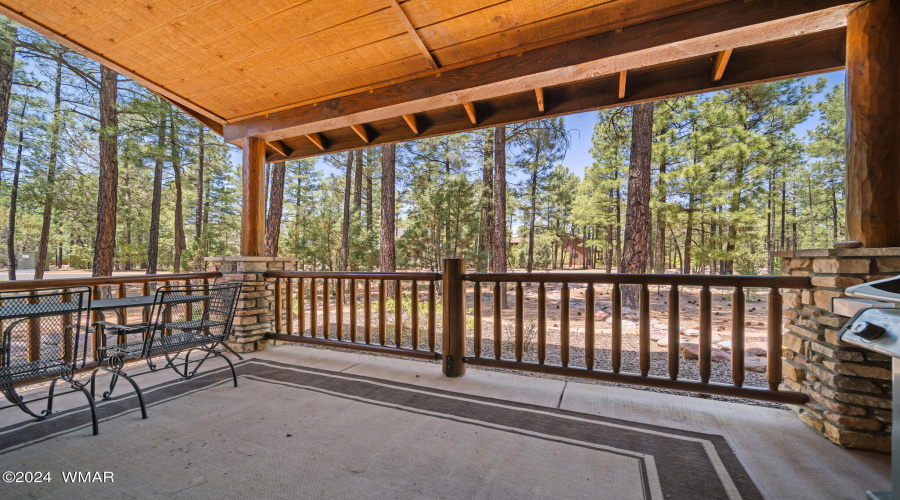 View Out From Back Patio