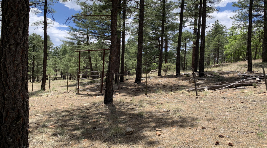 Gate to NAT'L Forest