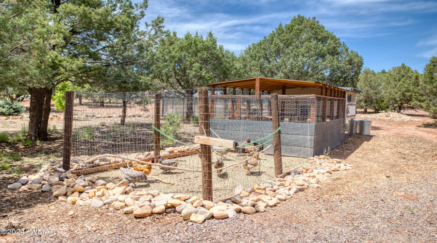 chicken coop