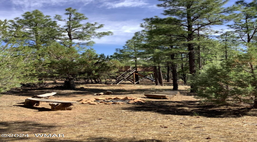 Firepit and Old Tree House