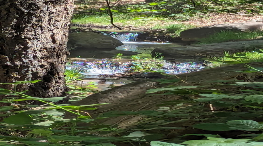 BC Creek at the crossing